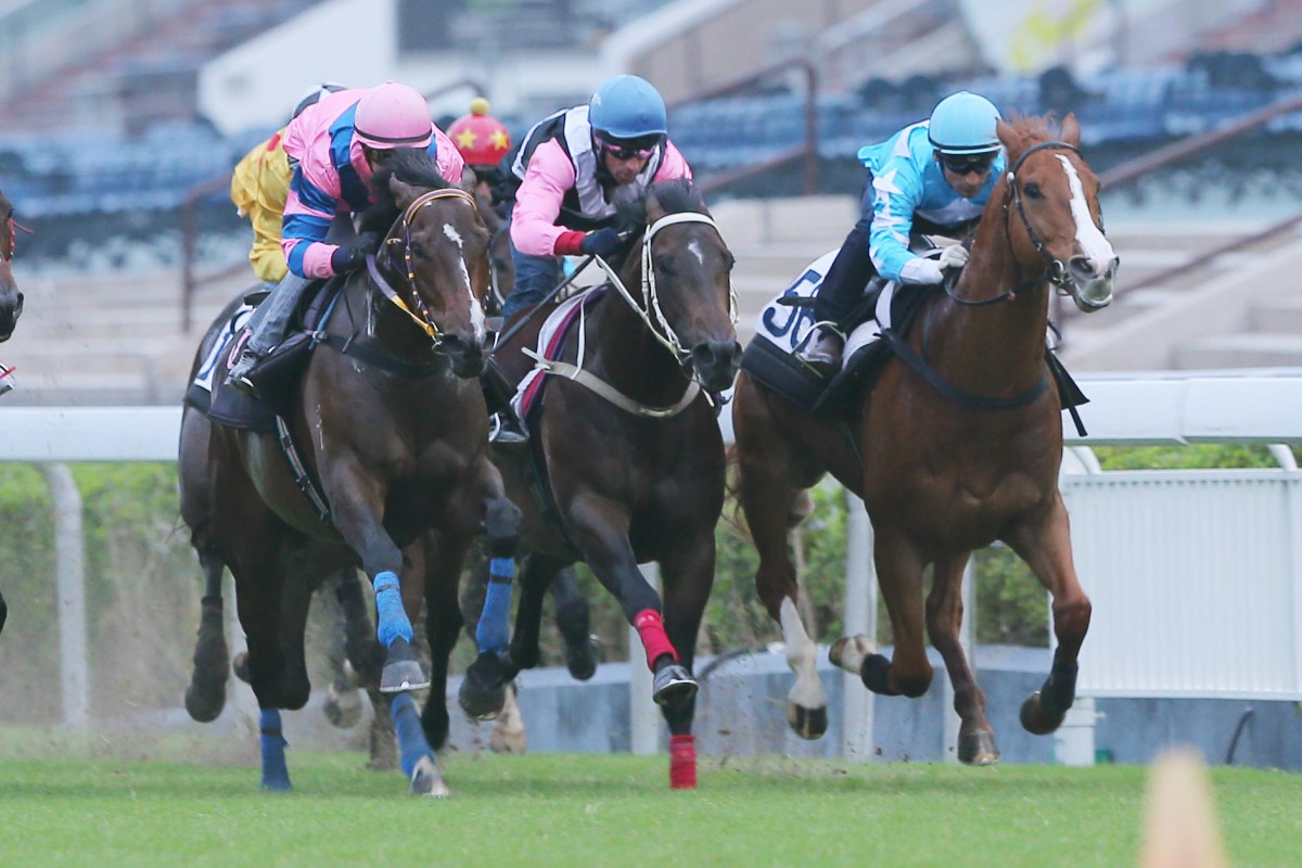 Zac Purton takes Friends Of Ka Ying (left) to the lead in a trial on Tuesday. It was a trial packed with classic hopefuls, including the winner, as well as Hong Kong Captain, Consort, White Magic and Peacock. Photo: Kenneth Chan