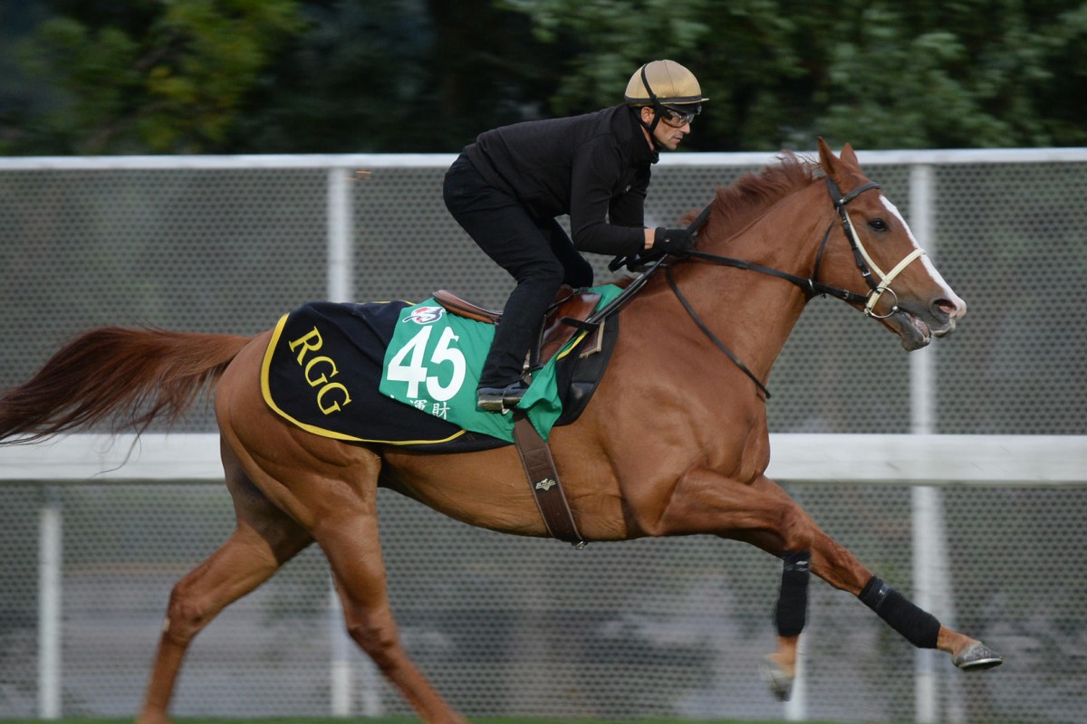Gold-Fun's previous outings on international day have been brave. Photos: Kenneth Chan