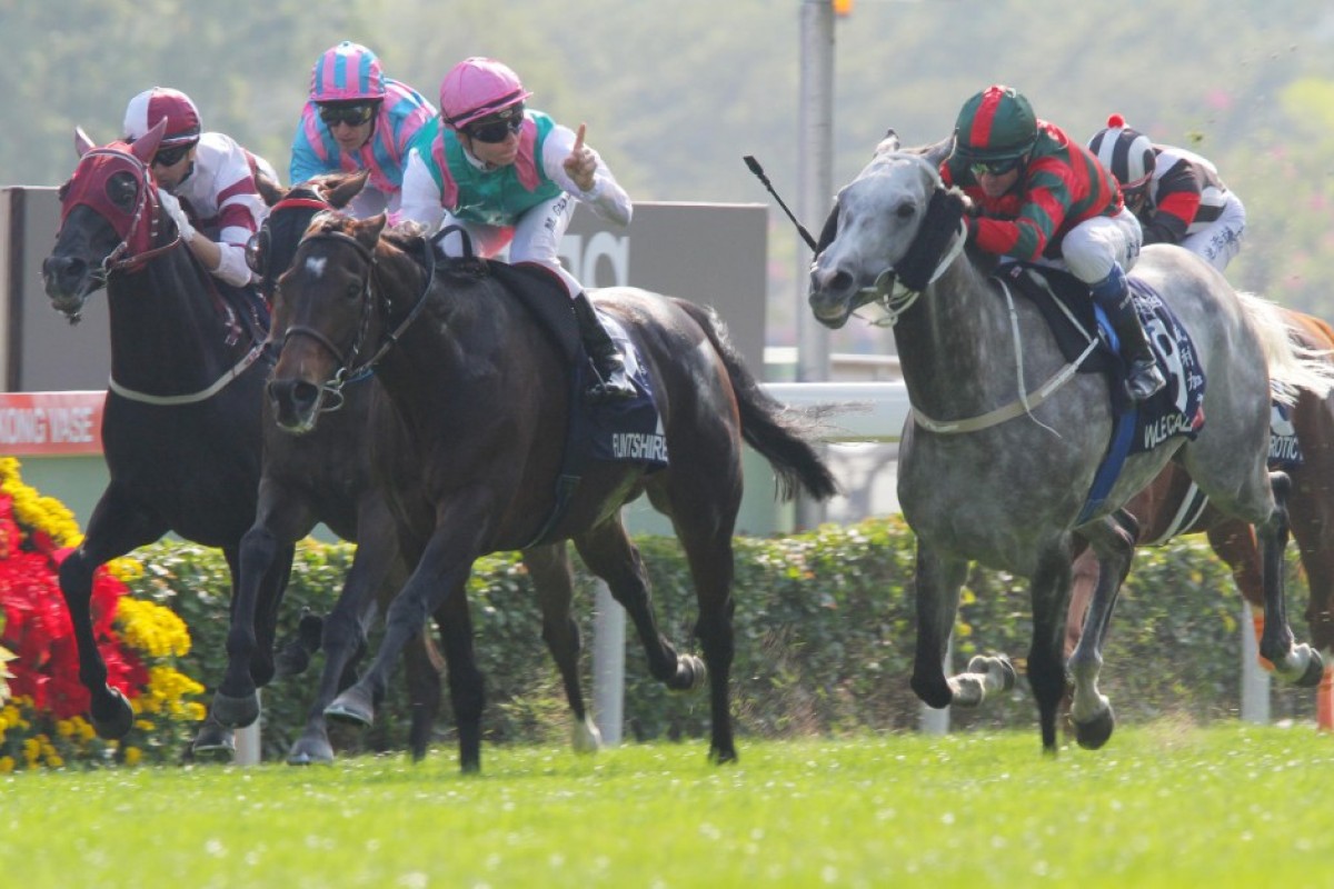 Flintshire is on track to win the Hong Kong Vase again. Photo: Kenneth Chan