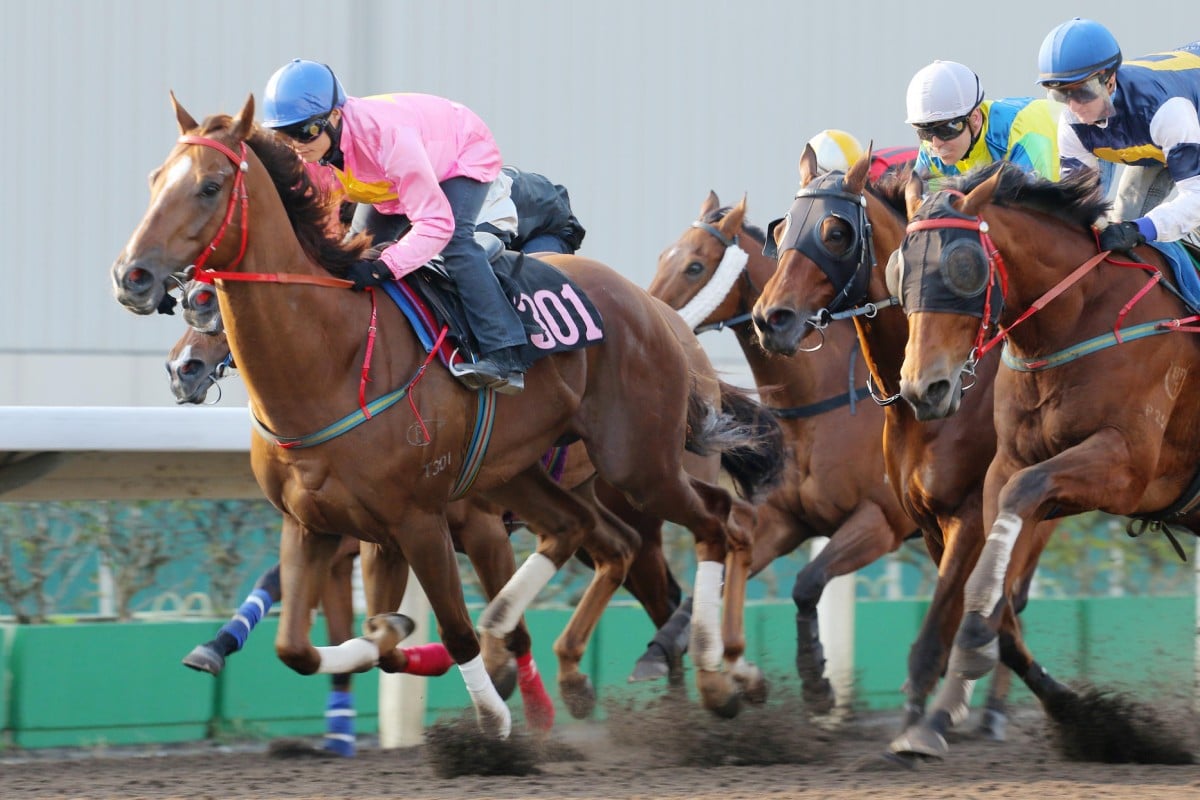 Sun Jewellery (Keith Yeung) wins a trial yesterday, with Derby-winning stablemate Luger (Zac Purton) and globetrotter Rich Tapestry (Gregory Benoist) finishing close up.Photos: Kenneth Chan