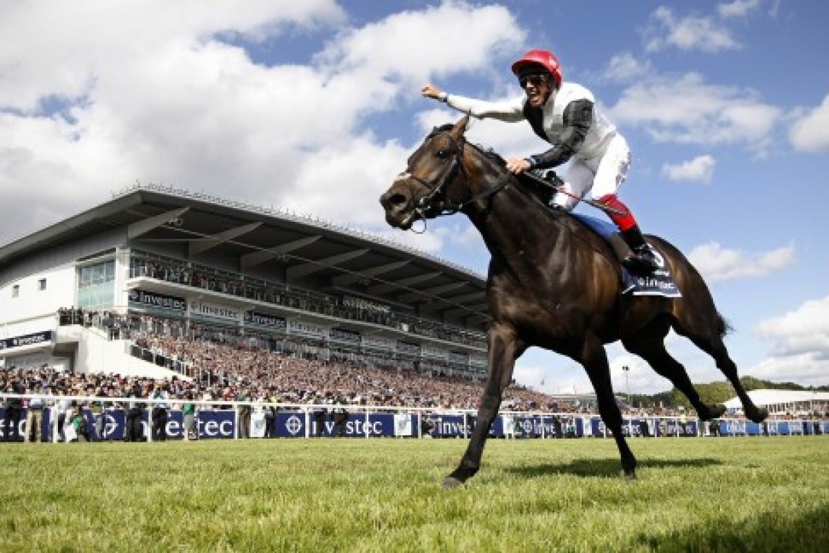 Golden Horn, pictured at Epsom winning the Derby, was involved in two of the world's highest rating races in 2015 - he won the Prix de l'Arc de Triomphe and was surprisingly beaten in the Juddmonte International by Arabian Queen. Photo: AFP