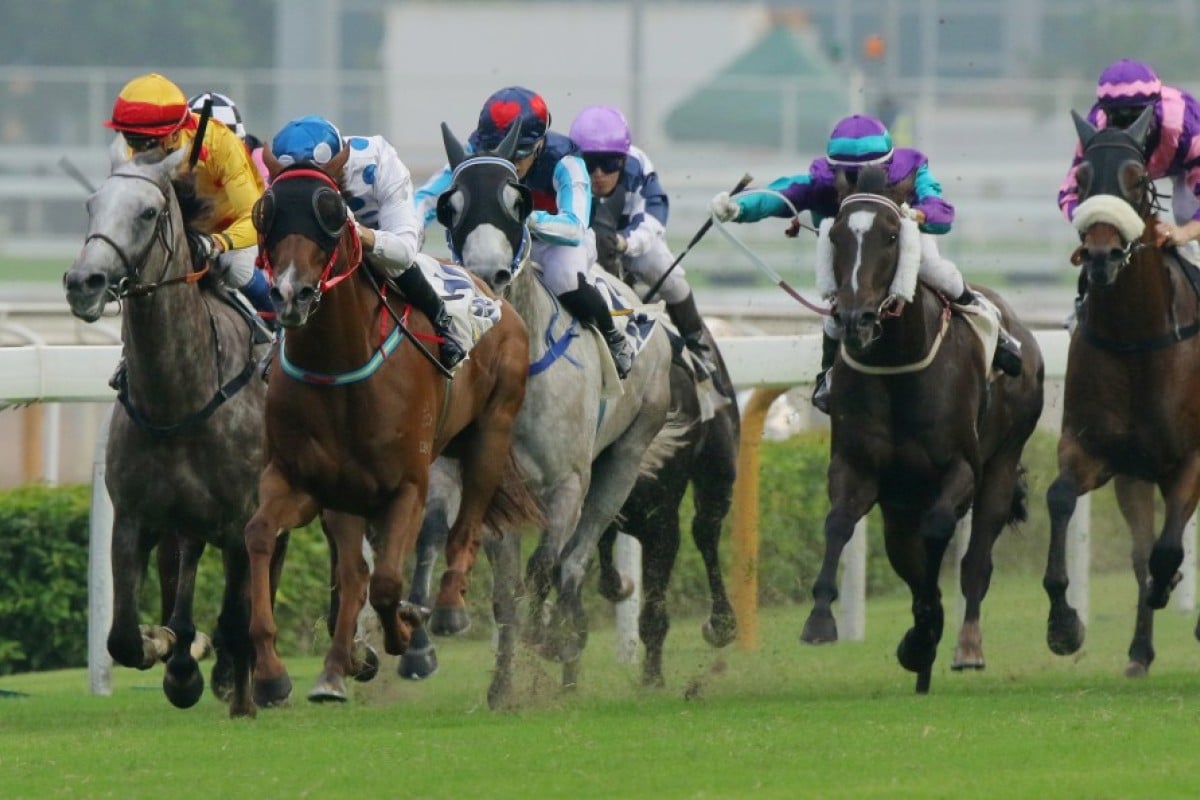 Contentment has won two from five this season, including wins in the Celebration Cup and the Sha Tin Trophy in October. Photo: Kenneth Chan