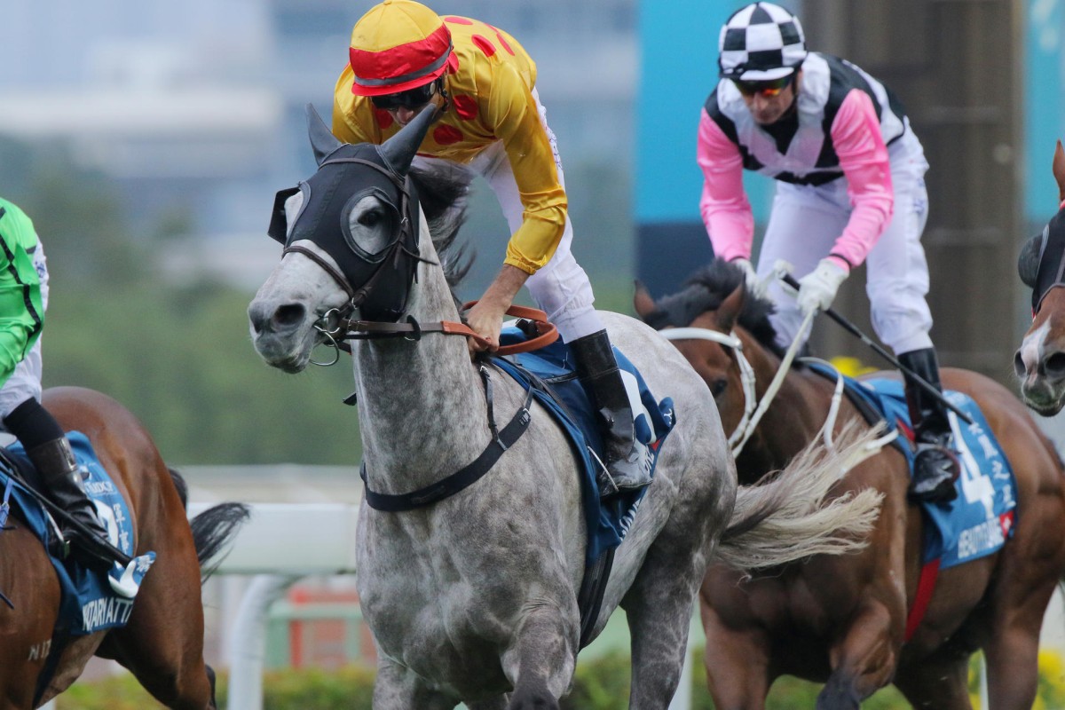 Giant Treasure (Christophe Soumillon) won the Stewards' Cup last start, beating Luger and Contentment in a three-way finish. He can book a trip to Dubai with a win today. Photo: Kenneth Chan