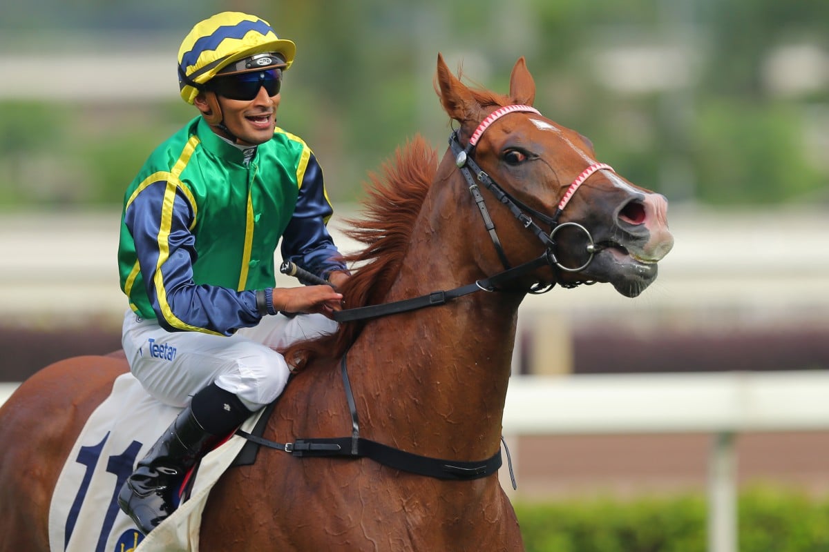 Blizzard's record at 1,200m has been terrific and he looks a good chance dropping in trip. Photo: Kenneth Chan