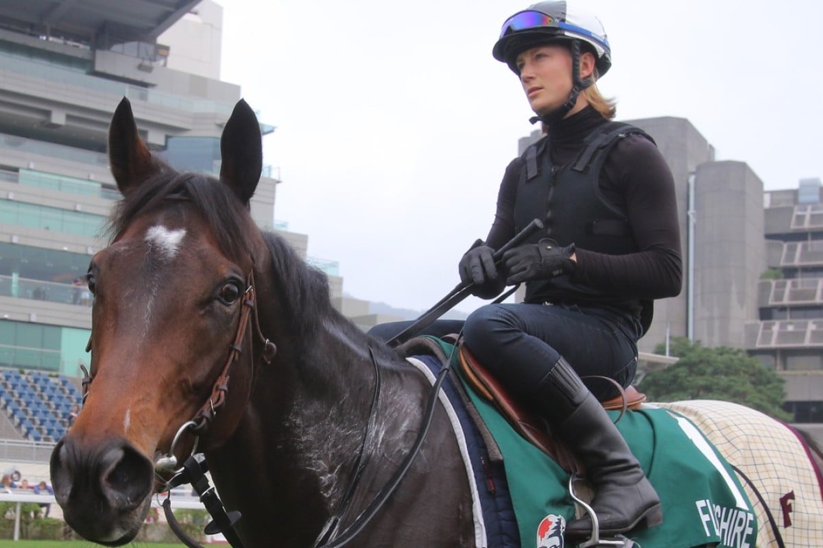 Hong Kong Vase title-holder Flintshire returns to the stable after a gallop at Sha Tin today. Photo: Kenneth Chan.