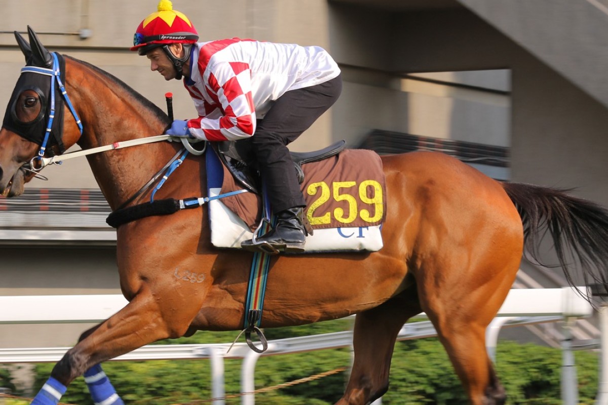 Lucky Nine has won the Chairman’s Sprint Prize twice. Photos: Kenneth Chan