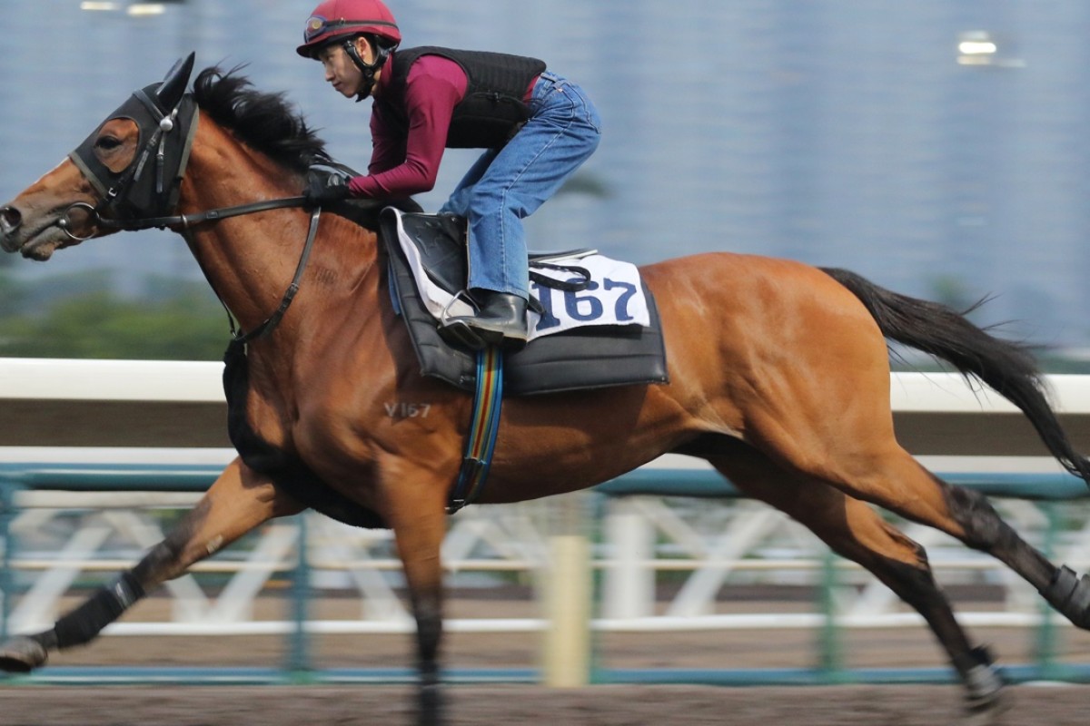 Helene Paragon caught the eye at Sha Tin last Sunday. Photos: Kenneth Chan