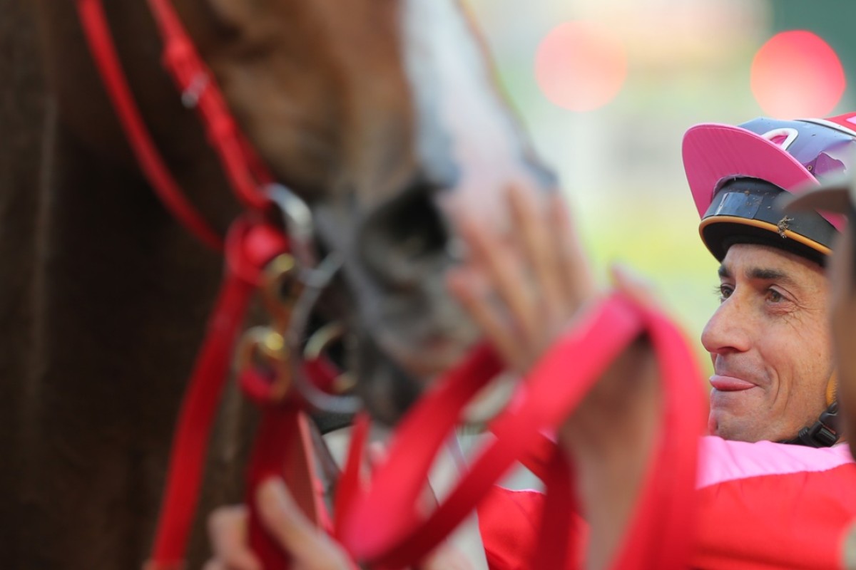 Race 9, Secret Weapon, ridden by Douglas Whyte, won the Centenary Vase(HK Group 3, 1800m) at Sha Tin on 06Feb16.