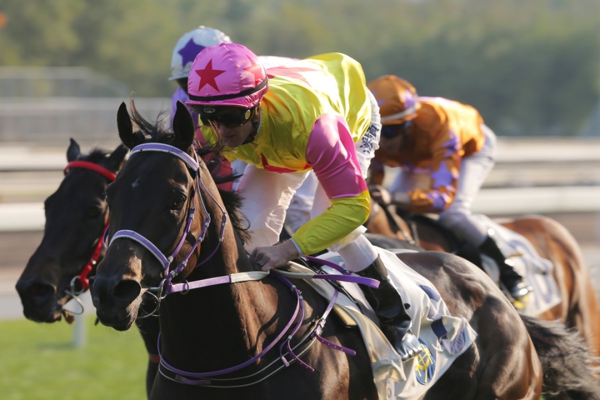 Racing Supernova puts his rivals away with ease to win on debut in Class Three. Photo: Kenneth Chan