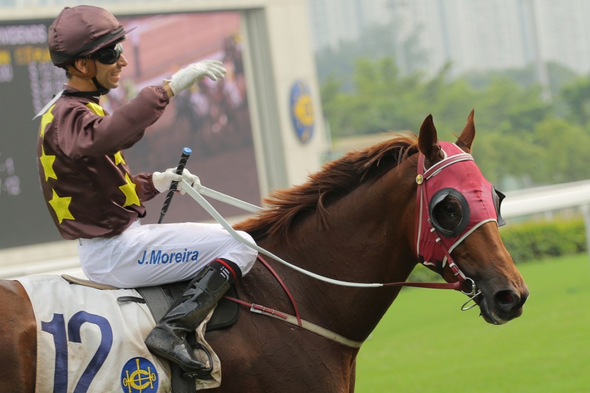 Sure Peace looks a top chance as he returns to the Sha Tin all-weather track 1,650m on Sunday, a C&D over which he has performed strongly before. Photo: Kenneth Chan