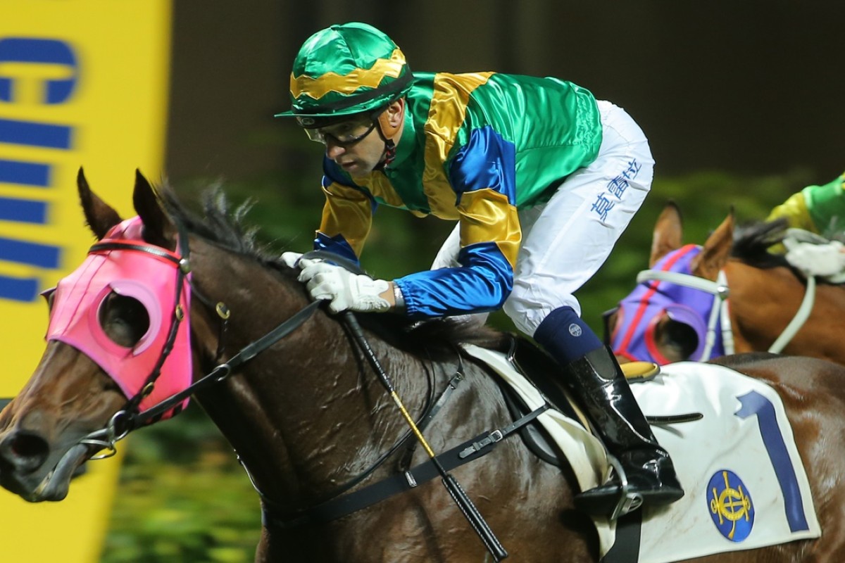 Strong Foundation has been in terrific form since returning to original trainer Francis Lui. Photo: Kenneth Chan