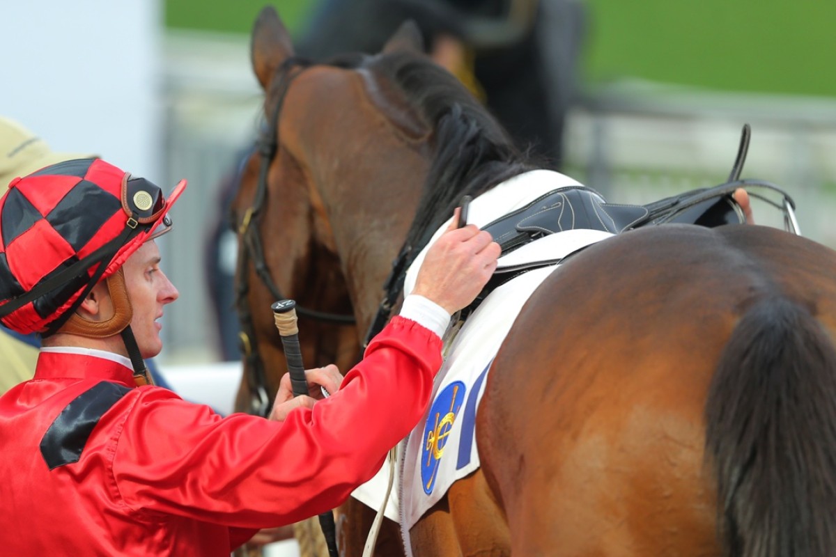 Zac Purton unsaddles Line Seeker after the son of O’Reilly made it back-to-back wins after returning from off-season surgery. Photo: Kenneth Chan