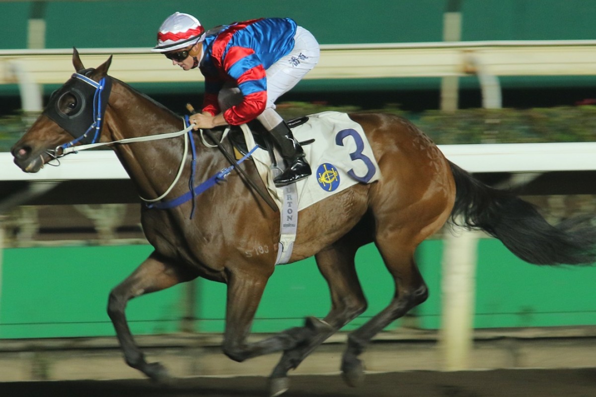 Gun Pit, ridden by Zac Purton, wins a race over 1,650m on the all-weather track at Sha Tin. Photos: Kenneth Chan