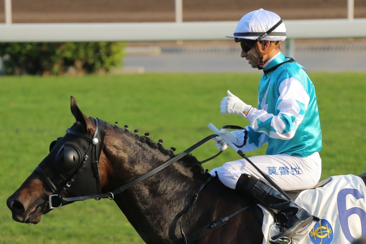 Hit The Bid’s consistency makes him a strong Triple Trio banker, even if he rarely wins. Photo: Kenneth Chan