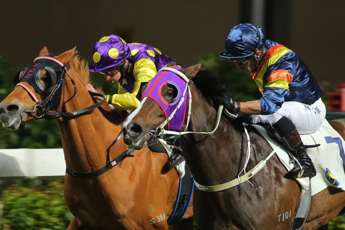 Po Ching Treasure (left) was just nosed out by California Cherish last start, but meets that rival three pounds better on Wednesday night. Photo: Kenneth Chan