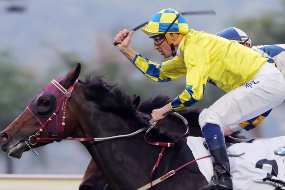 Werther wins the Hong Kong Derby on Sunday, but will he be the next Hong Kong Cup winner? Photo: Kenneth Chan