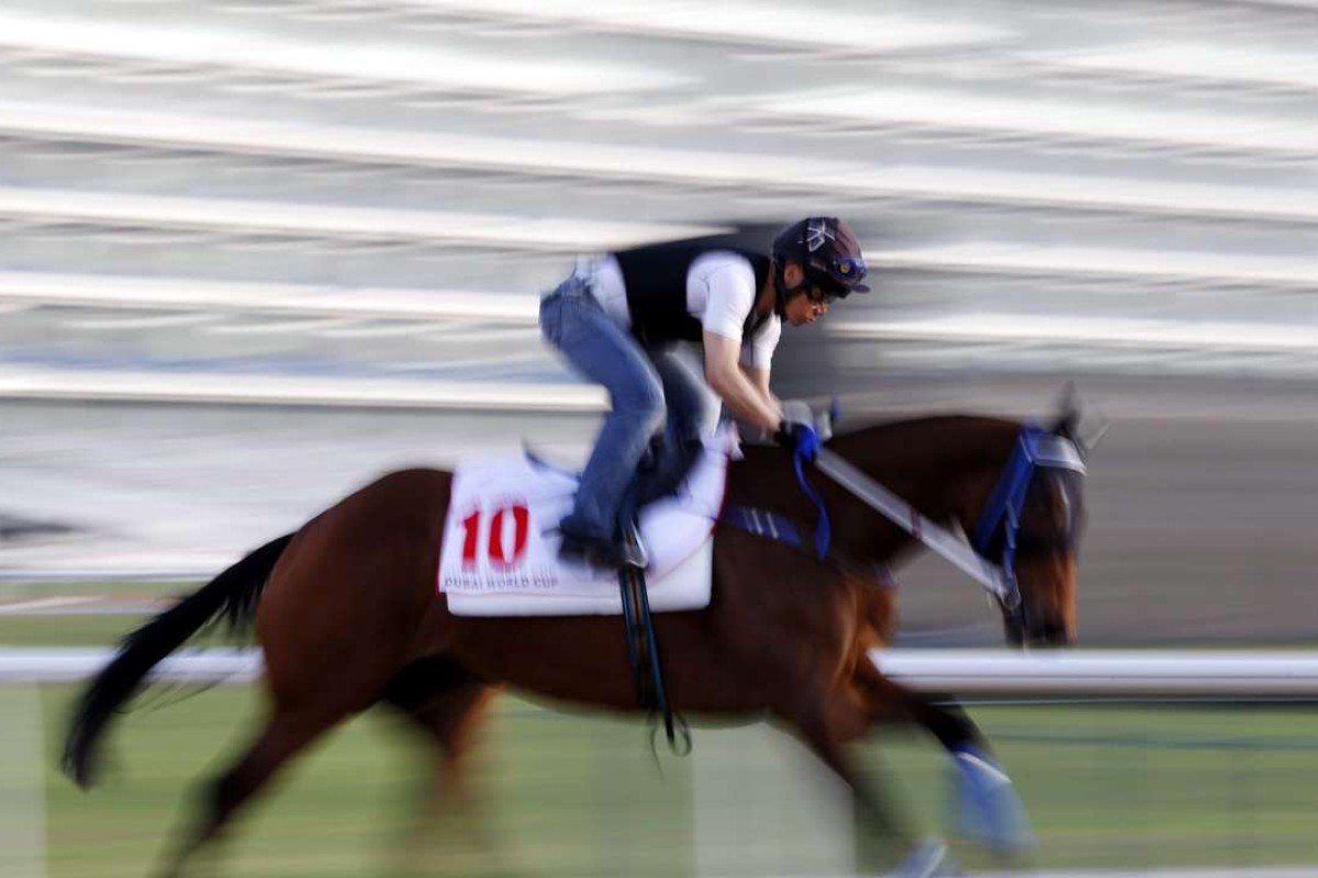 Gun Pit is given a hit-out in Dubai as he prepares for the US$10 million World Cup. Photo: EPA