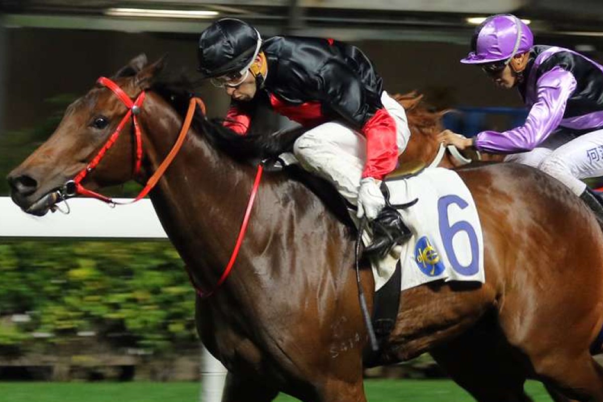 King Of Mongolia won on Wednesday night, but Formula Won in the purple cap caught the eye running into second. Photo: Kenneth Chan