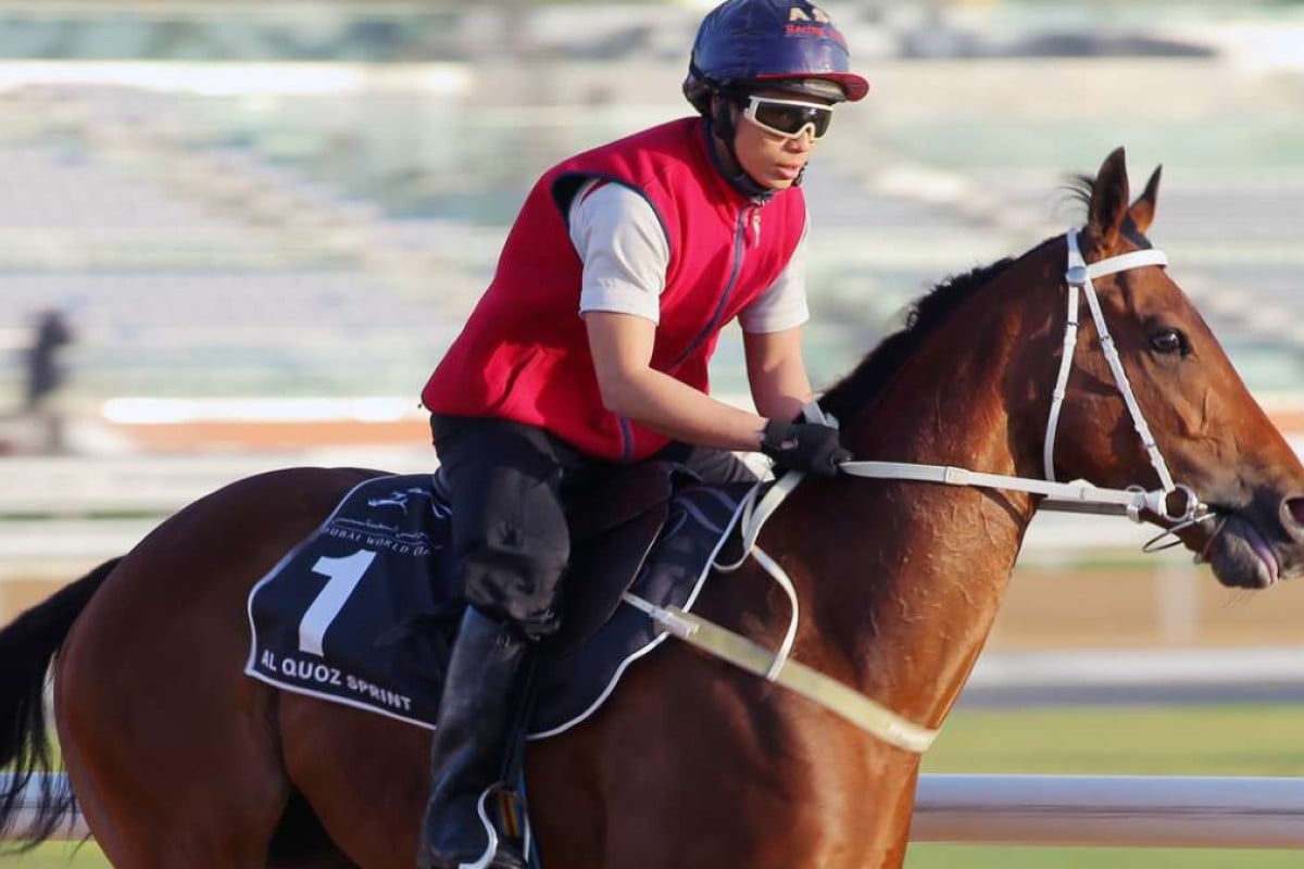 Peniaphobia galloping on the Meydan track in Dubai on Friday. Photos: Kenneth Chan