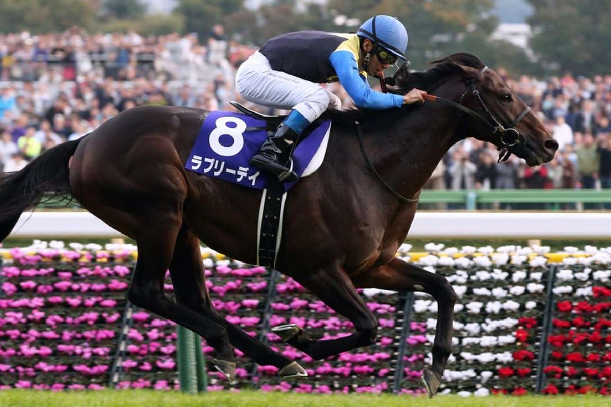 Lovely Day (Suguru Hamanaka) wins the Tenno Sho (Autumn) in November. Yasutoshi Ikee's son of King Kamehameha is the horse to beat in today’s Audemars Piguet QE II Cup. Photo: Japan Racing Association