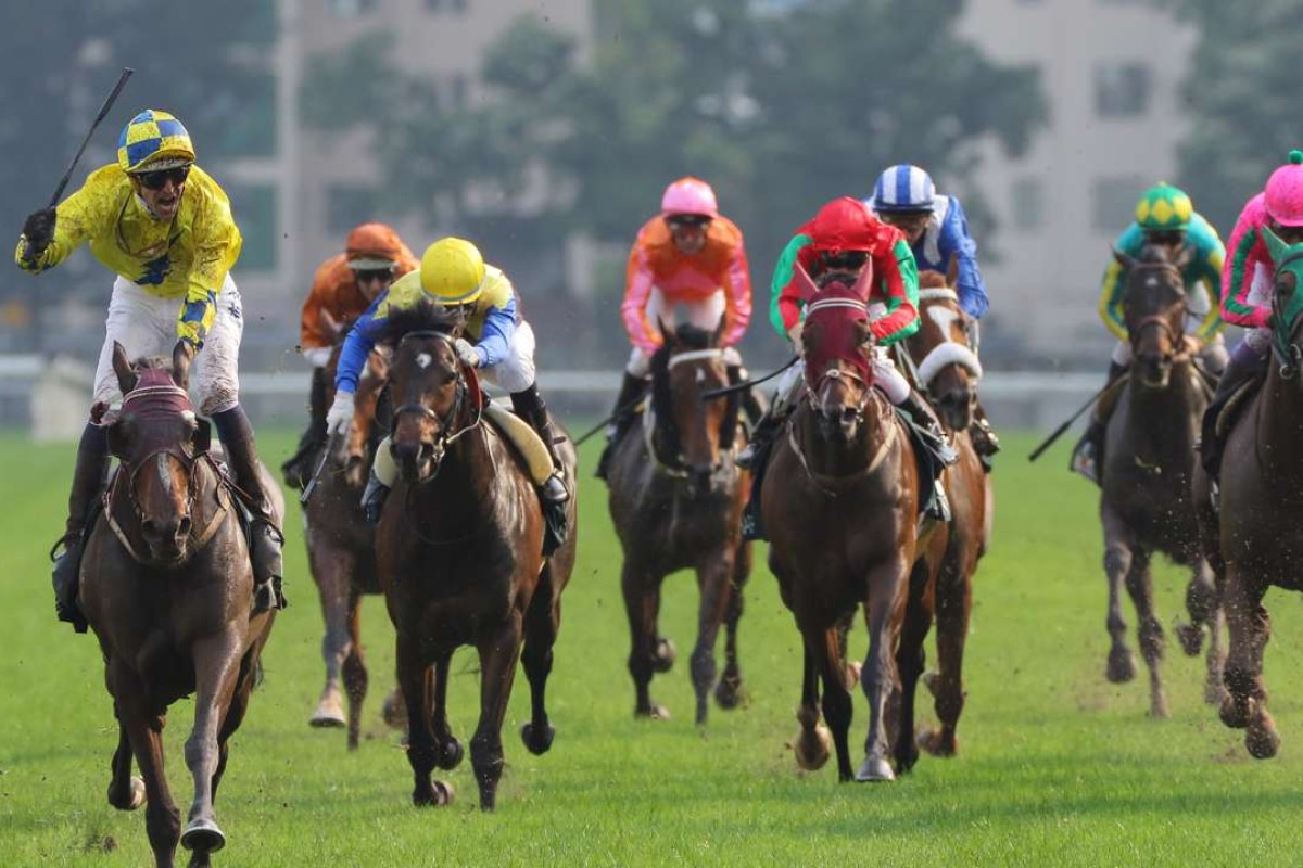 Hugh Bowman wins aboard Werther in the Audemars Piguet QE II Cup last month. Werther is heavily favoured to win again on Sunday in the Champions & Chater. Photos: Kenneth Chan