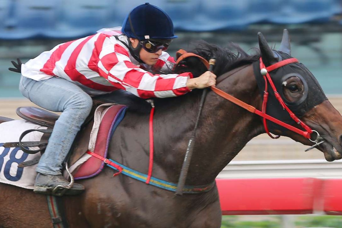 Dr Listening looks set to win before the end of the season. Photo: Kenneth Chan