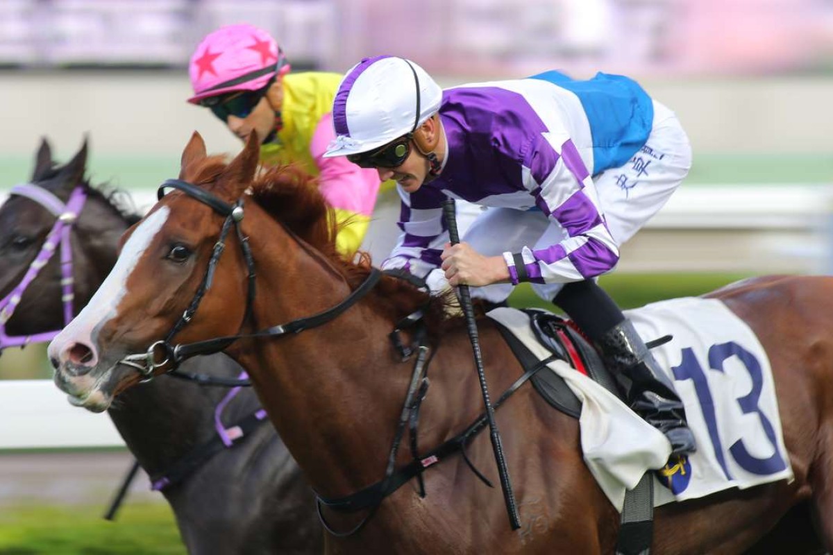 New Asia Sunrise held off a luckless Racing Supernova to land a betting plunge. Photo: Kenneth Chan