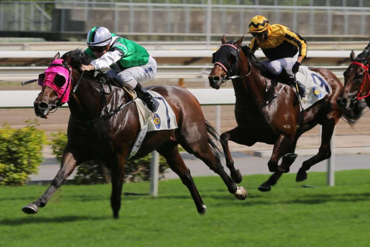 Fashion Maestro was an impressive winner under Zac Purton on Sunday. Photo: Kenneth Chan