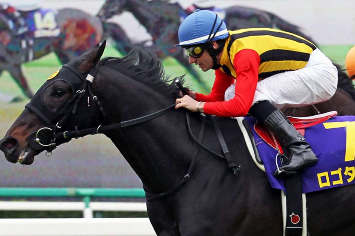 Logotype, pictured winning the 2013 Satsuki Sho at Nakayama, took out the Yasuda Kinen at Tokyo racecourse on Sunday. Photo: Japan Racing Association