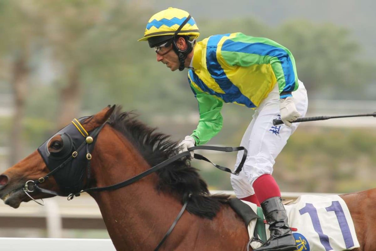 Rich Tapestry has travelled the world, only racing at Sha Tin twice since the start of 2014. Photo: Kenneth Chan