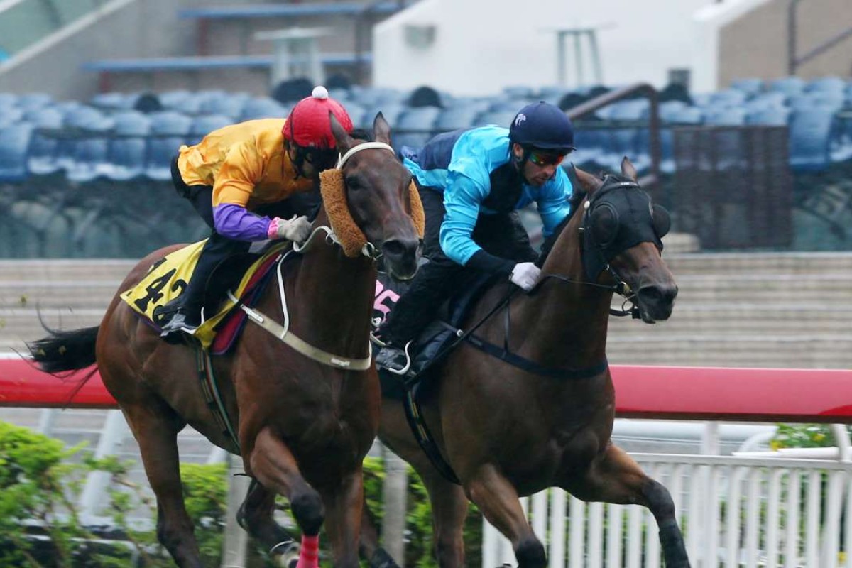 Peniaphobia and Not Listenin’tome square off at the trials. Photos: Kenneth Chan