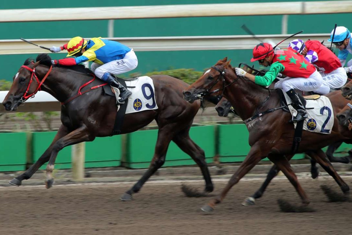 Lansbury (2), seen here finishing second behind Smiling Glory (9) last start. Photos: Kenneth Chan
