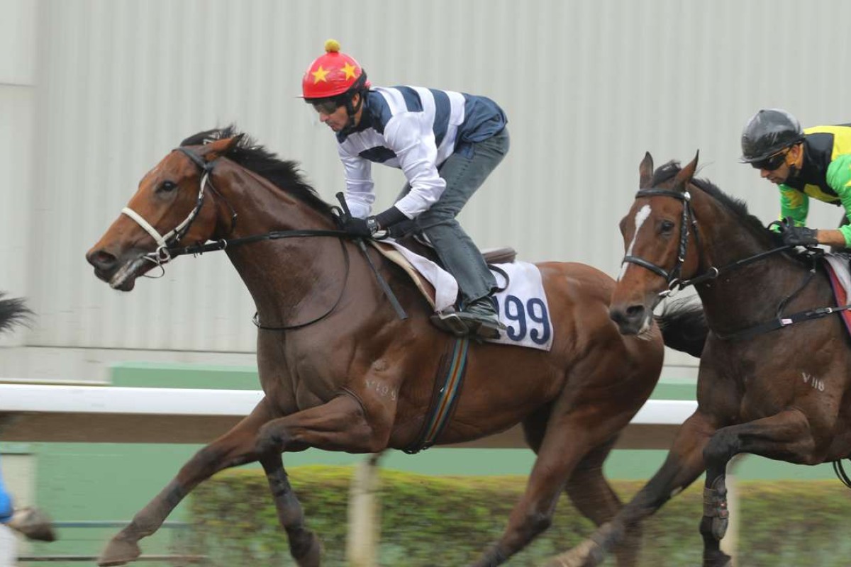 Winfield and Douglas Whyte stretch out in a recent trial. Photos: Kenneth Chan