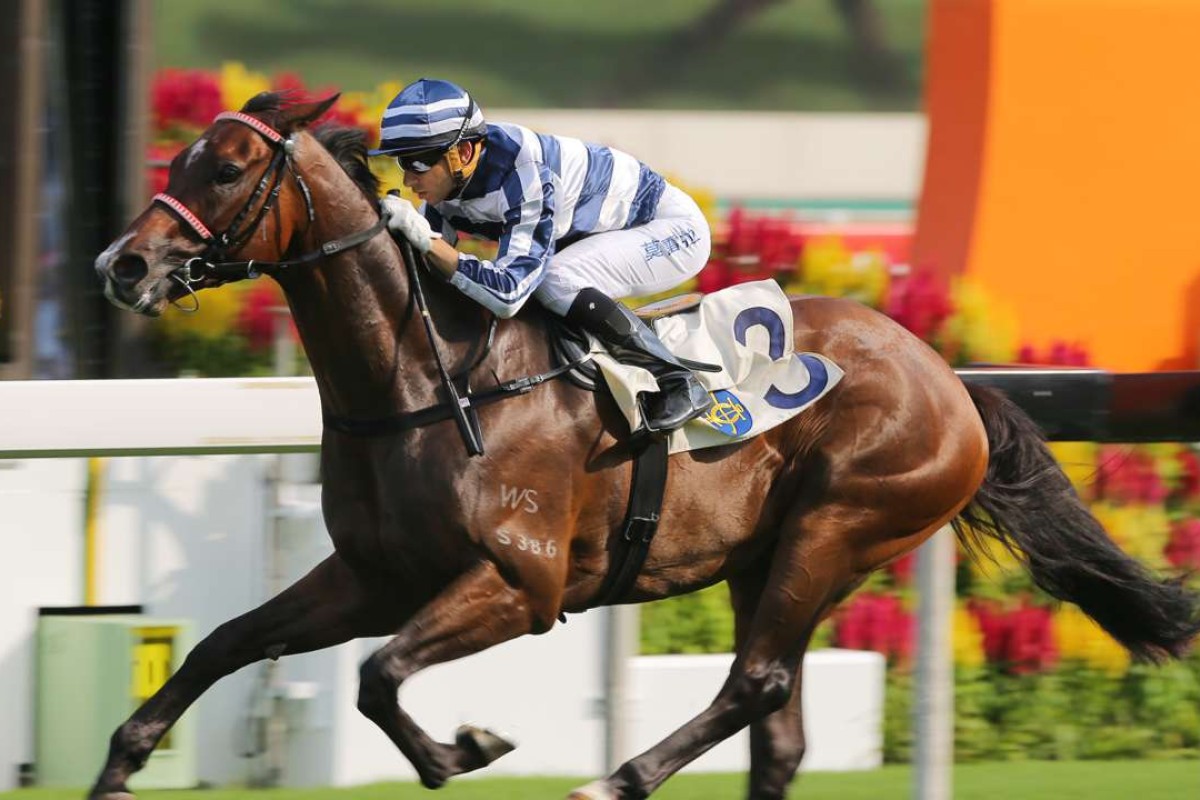 Packing Pins will line up in Saturday’s Group Three Celebration Cup. Photos: Kenneth Chan