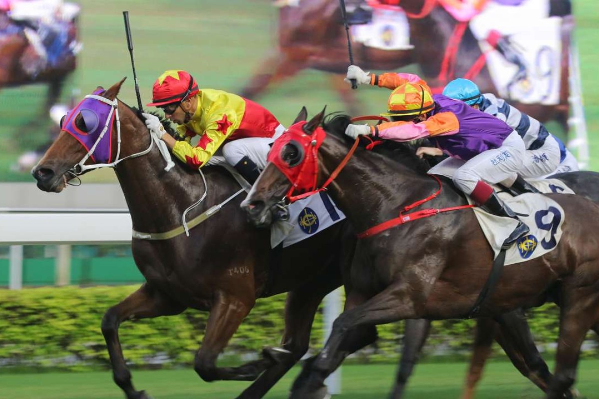 California Joy will be out to make it two wins on the trot after saluting earlier this month. Photos: Kenneth Chan