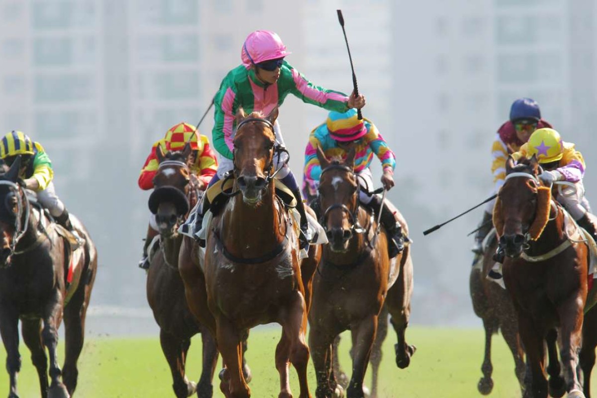 Bundle Of Joy, ridden by Vincent Ho, wins the first edition of the renamed National Day Cup (the Group Three over 1,000m) in 2014. Photos: Kenneth Chan