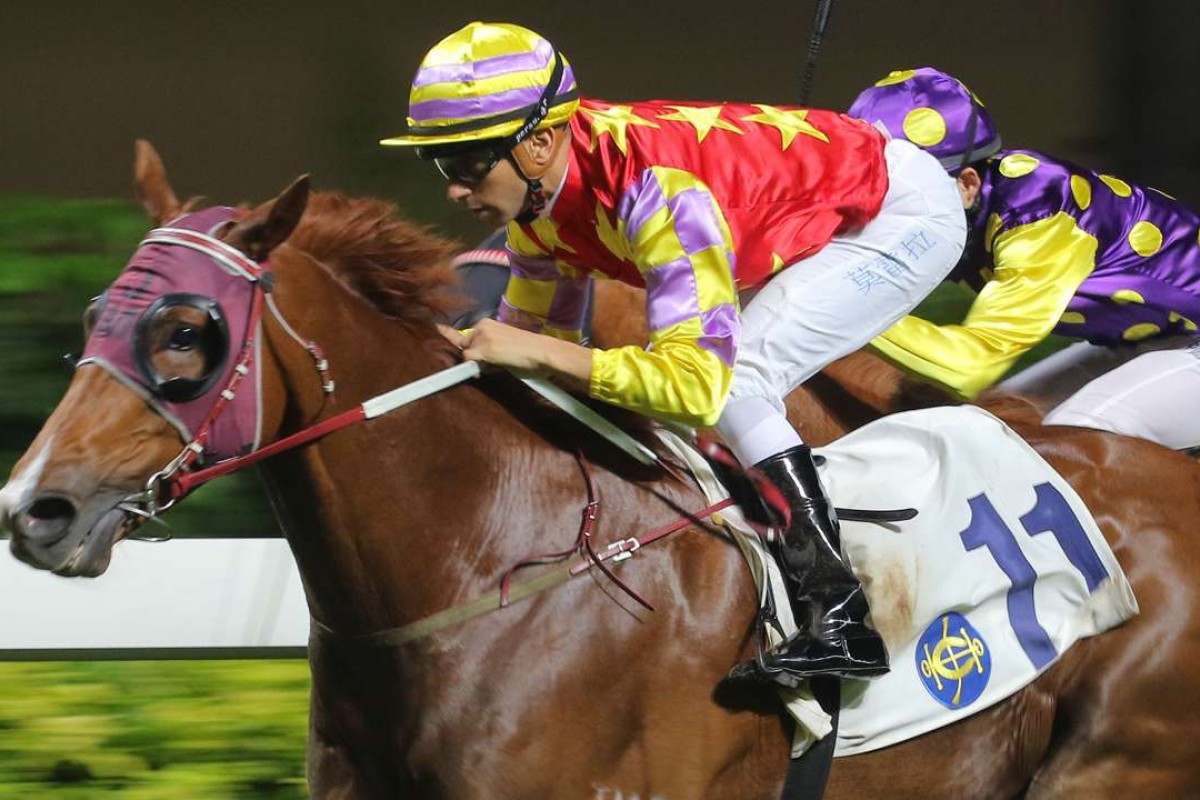 Lotus Strikes Back, ridden by Joao Moreira, wins at Happy Valley last season. Photos: Kenneth Chan