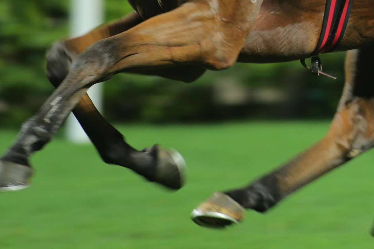 Australian horse racing has been blighted by a string of doping and corruption crises. Photo: SCMP Pictures