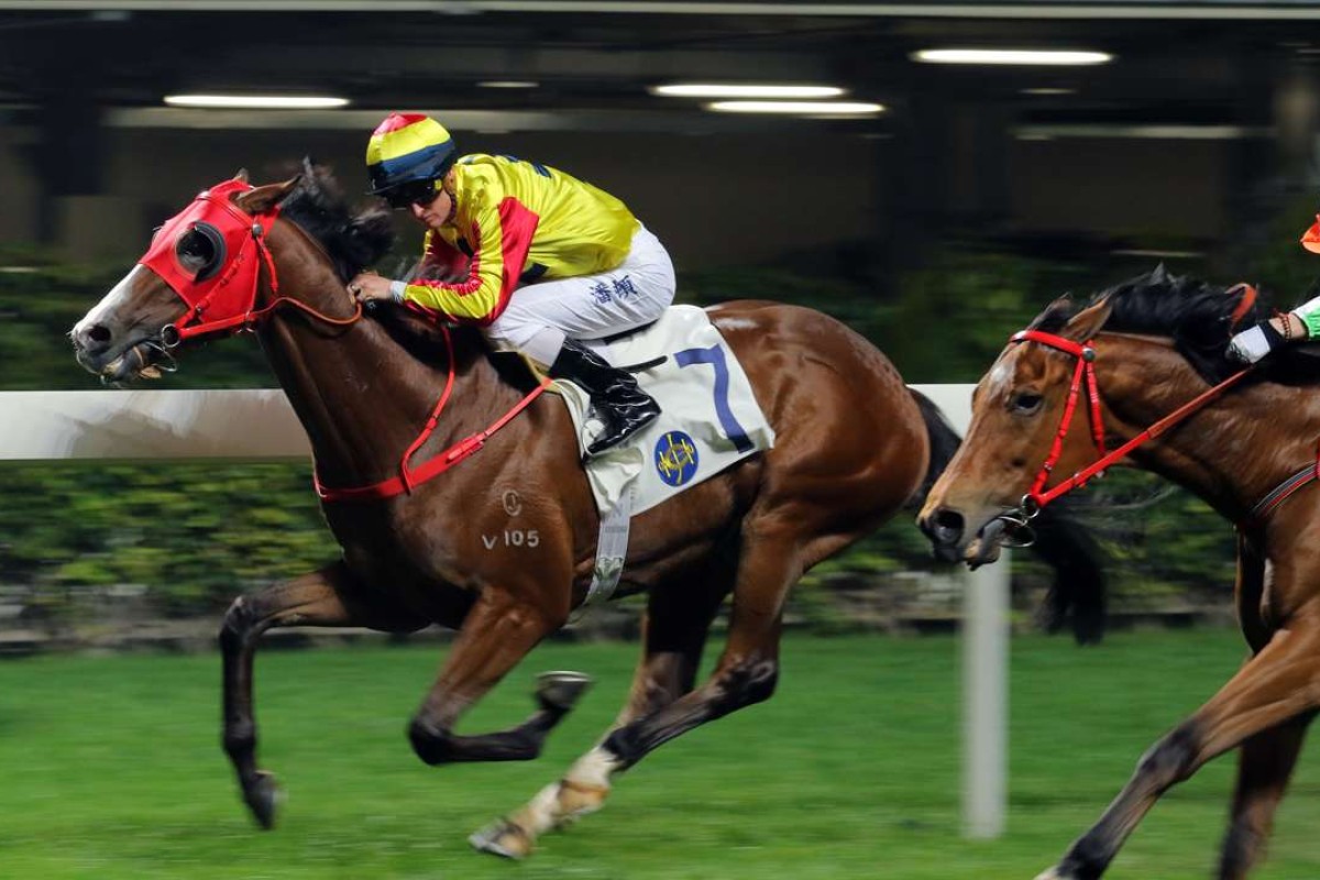 Super Sprinter looks ready to win another race. Photos: Kenneth Chan.