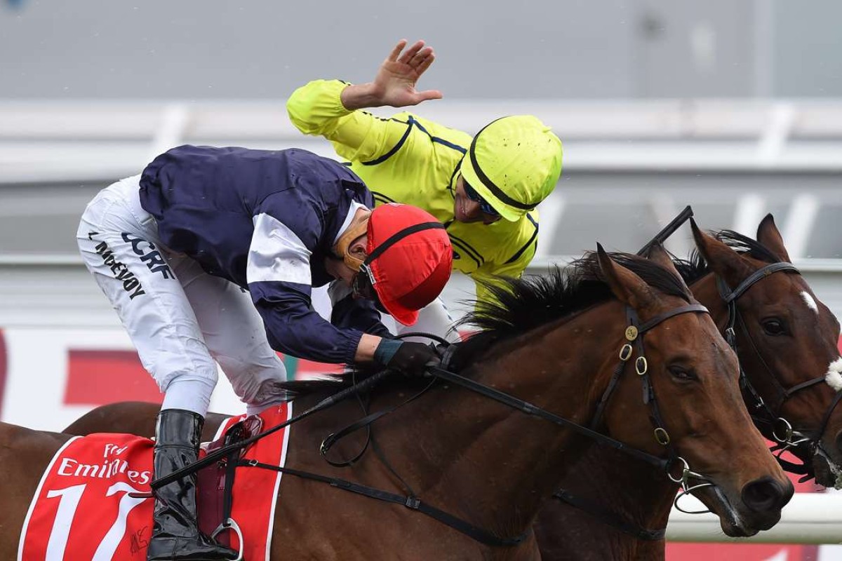 Joao Moreira (Heartbreak City) pats Melbourne Cup winner Kerrin McEvoy (Almandin) on the back just metres after the finishing post. Photos: EPA/DAN HIMBRECHTS