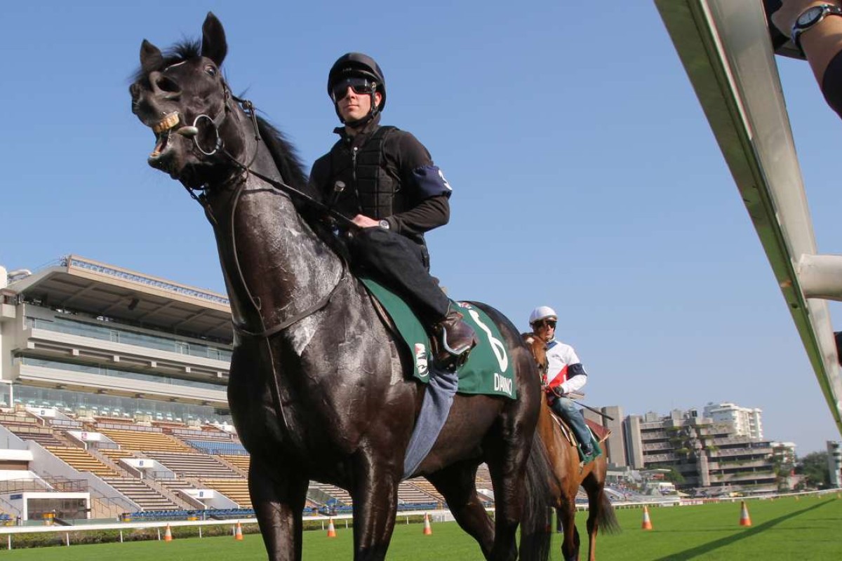 British champion jockey Jim Crowley is nursing a broken nose from the fall. Photo: Kenneth Chan