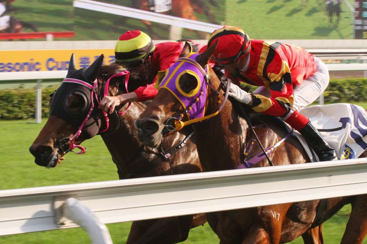 Nash Rawiller and Water Diviner (left) edge out Joao Moreira and Fortune Bo Bo (right) in a tight finish. Photos: Kenneth Chan