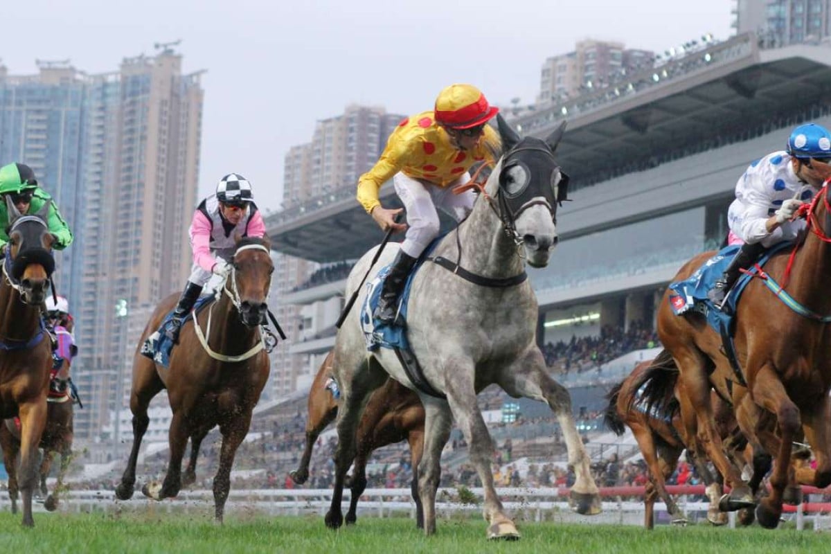 Christophe Soumillon guides Giant Treasure to victory in the Group One Stewards' Cup in January. Photos: Kenneth Chan