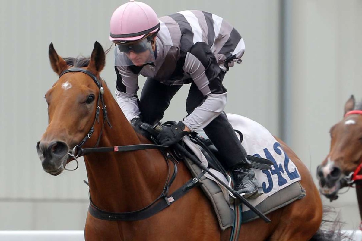 Little Giant wins a recent barrier trial. Photos: Kenneth Chan