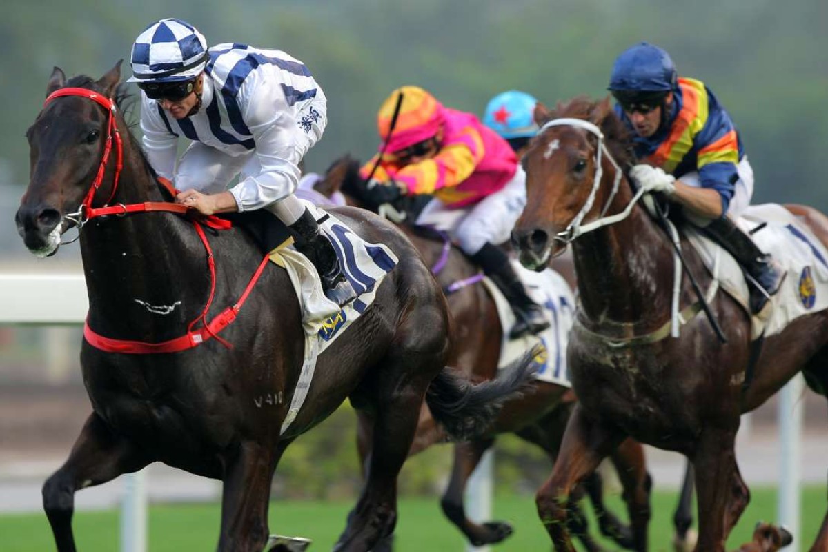 Seasons Bloom (left) beats California Whip (right) at Sha Tin on Sunday. Photos: Kenneth Chan