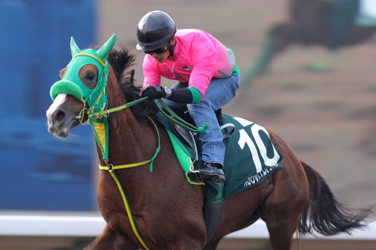 Hong Kong Vase contestant Nuovo Records gallops around Sha Tin on Wednesday morning. Photos: Kenneth Chan
