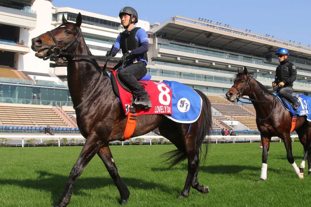 Lovely Day and Satono Aladdin head back to the stable at Sha Tin. Photos: Kenneth Chan