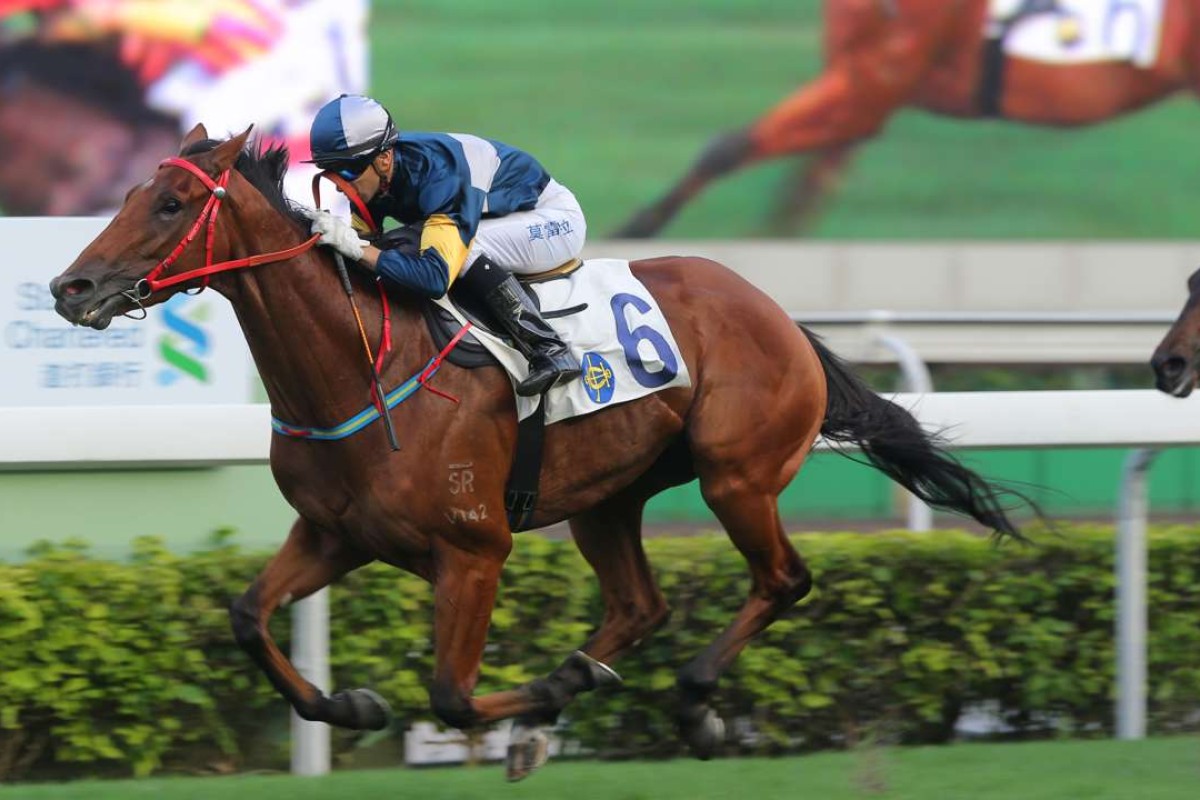 My Darling speeds away to win last May and on Tuesday the four-year-old can push his Group One Hong Kong Classic Mile claims with another win. Photos: Kenneth Chan