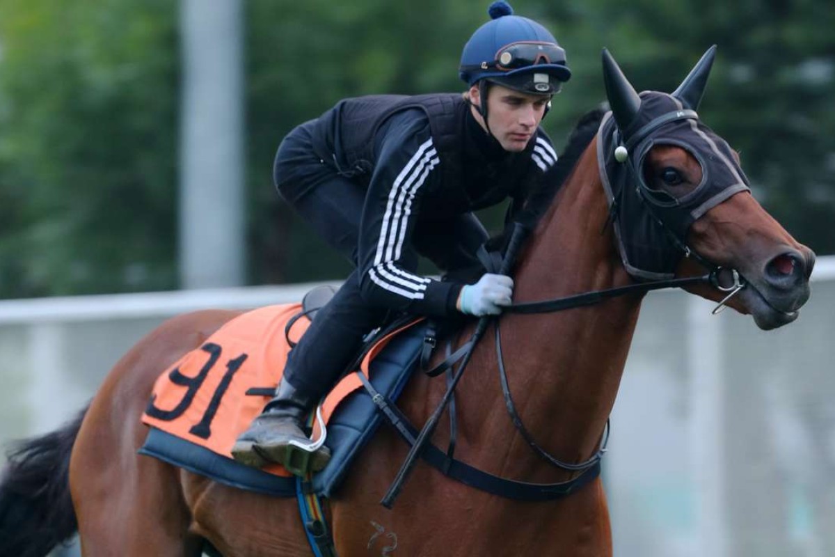 Sam Clipperton works out Rodrico. Photos: Kenneth Chan