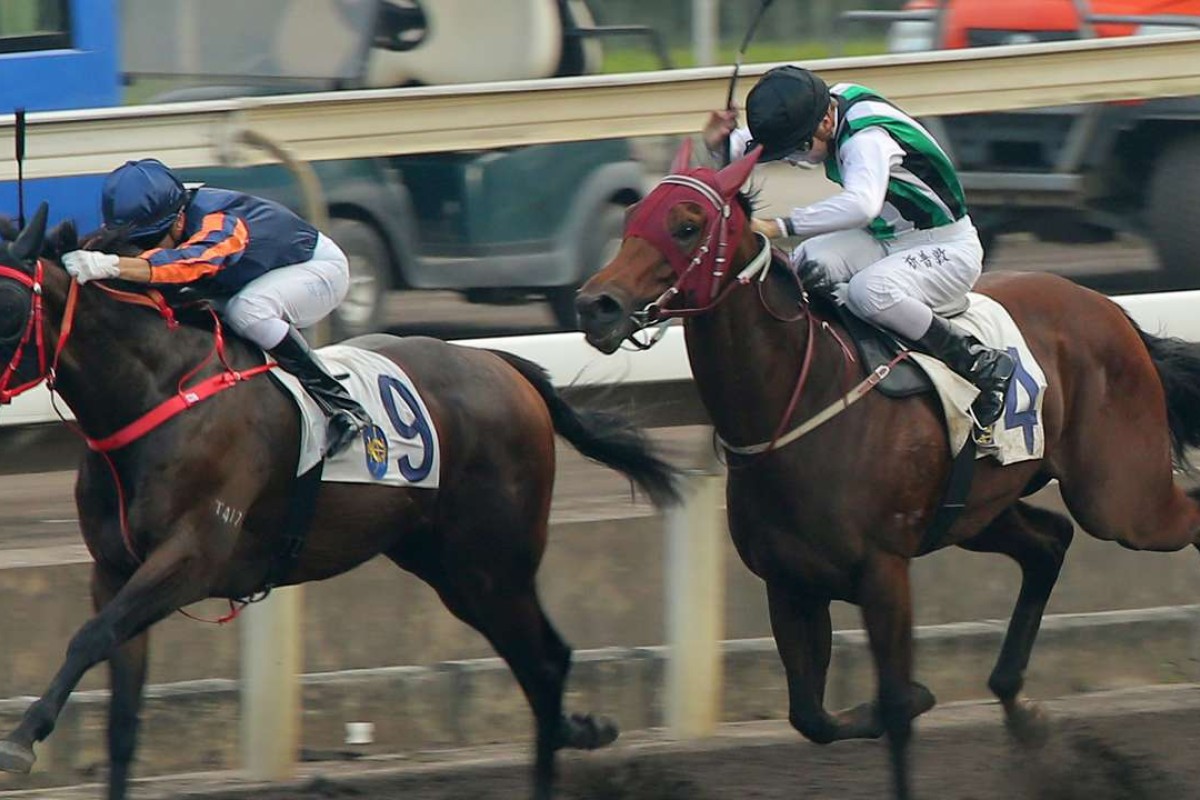 People's Knight (outside) guns down Red Dancer on the dirt earlier this month. The four-year-old is one of eight entries for John Moore in the Hong Kong Classic Mile on January 22. Photos: Kenneth Chan